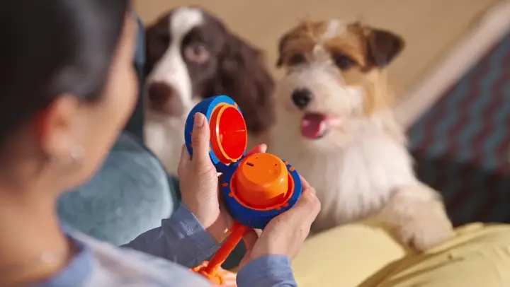 Dog Chaser product demo with dogs at home