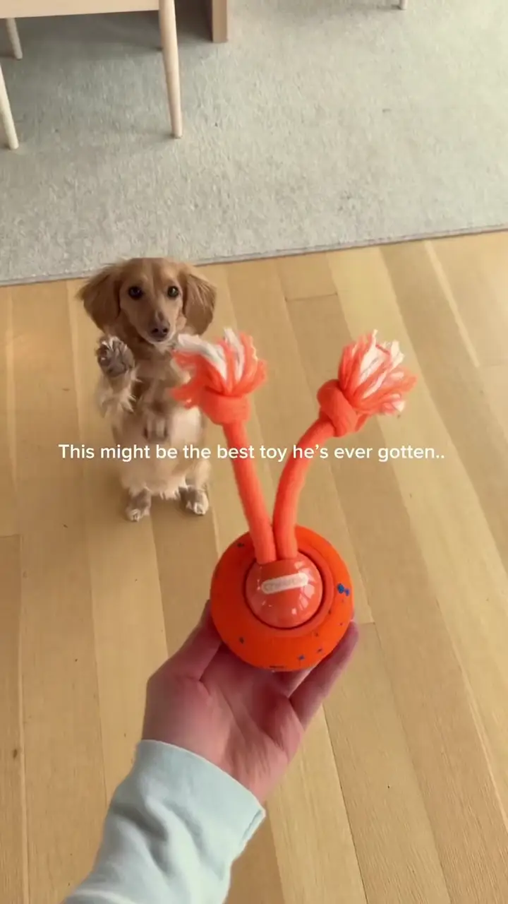 Customer feedback video 1