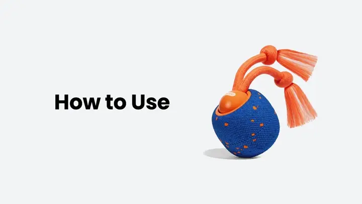 How to Use Dog Chaser video poster
